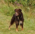 /album/fotogalerij-nieuws/a578705-489108917785811-96185640-n-jpg/